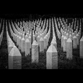 Bosnia: le cicatrici della guerra